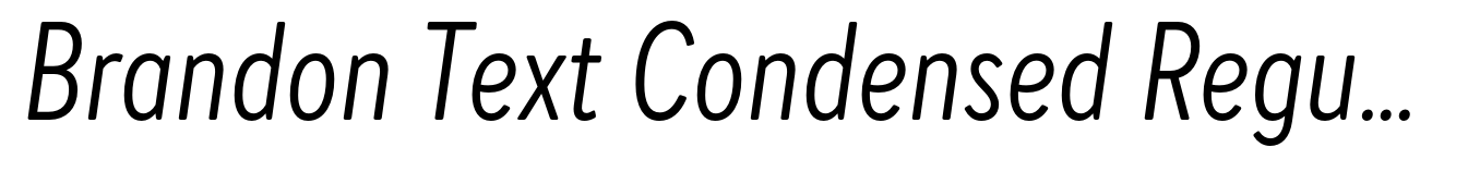 Brandon Text Condensed Regular Italic